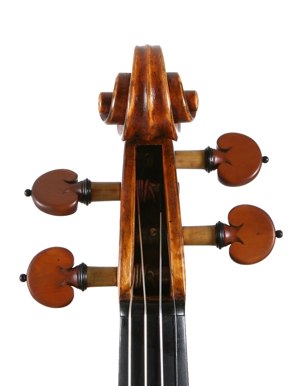 Cello