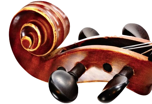 violin